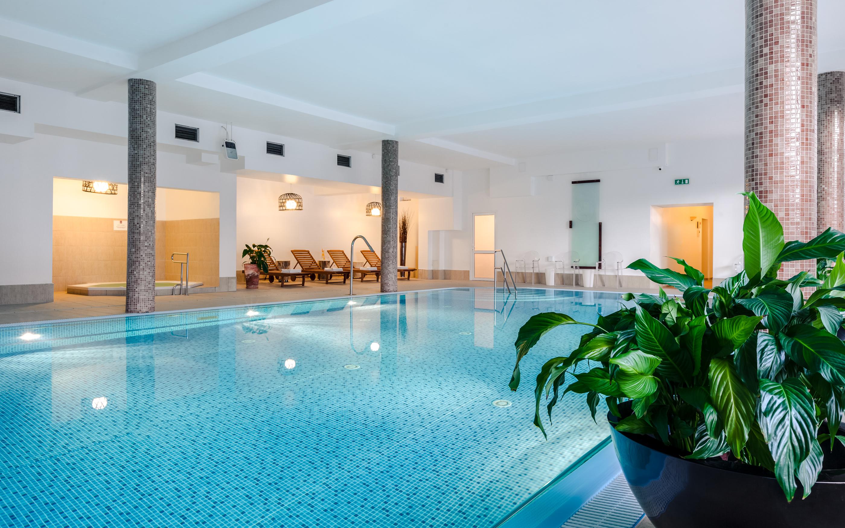 swimming pool spa