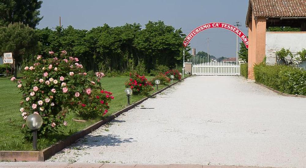 surroundings