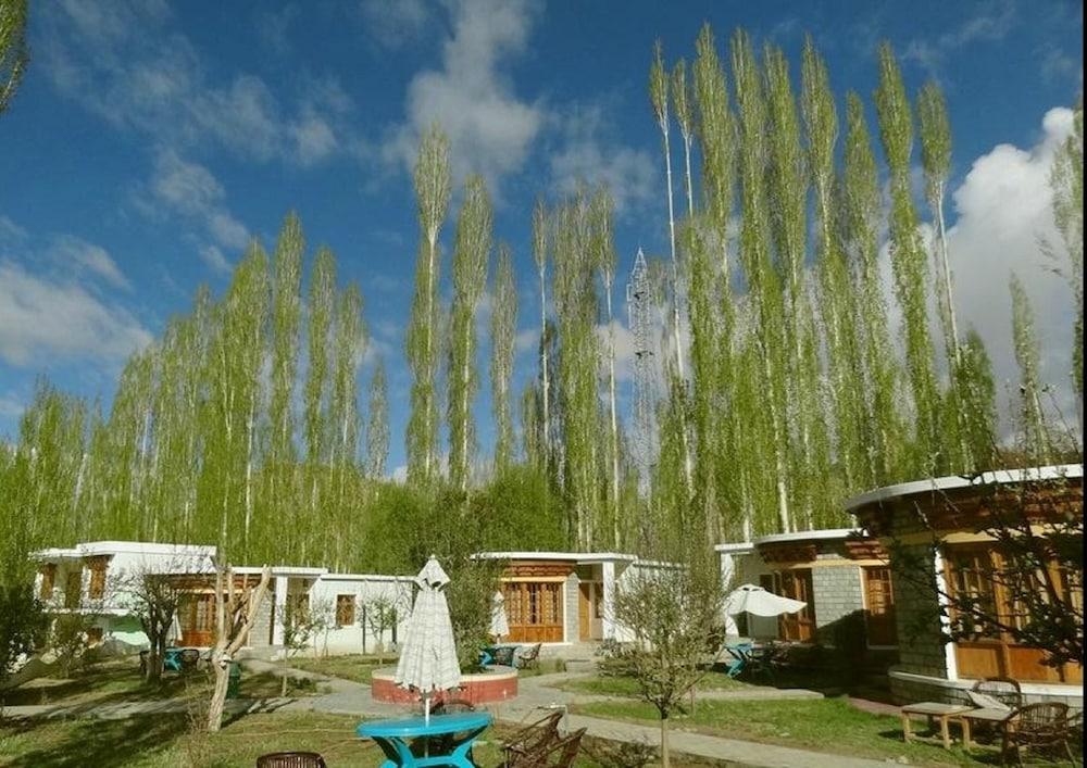 surroundings