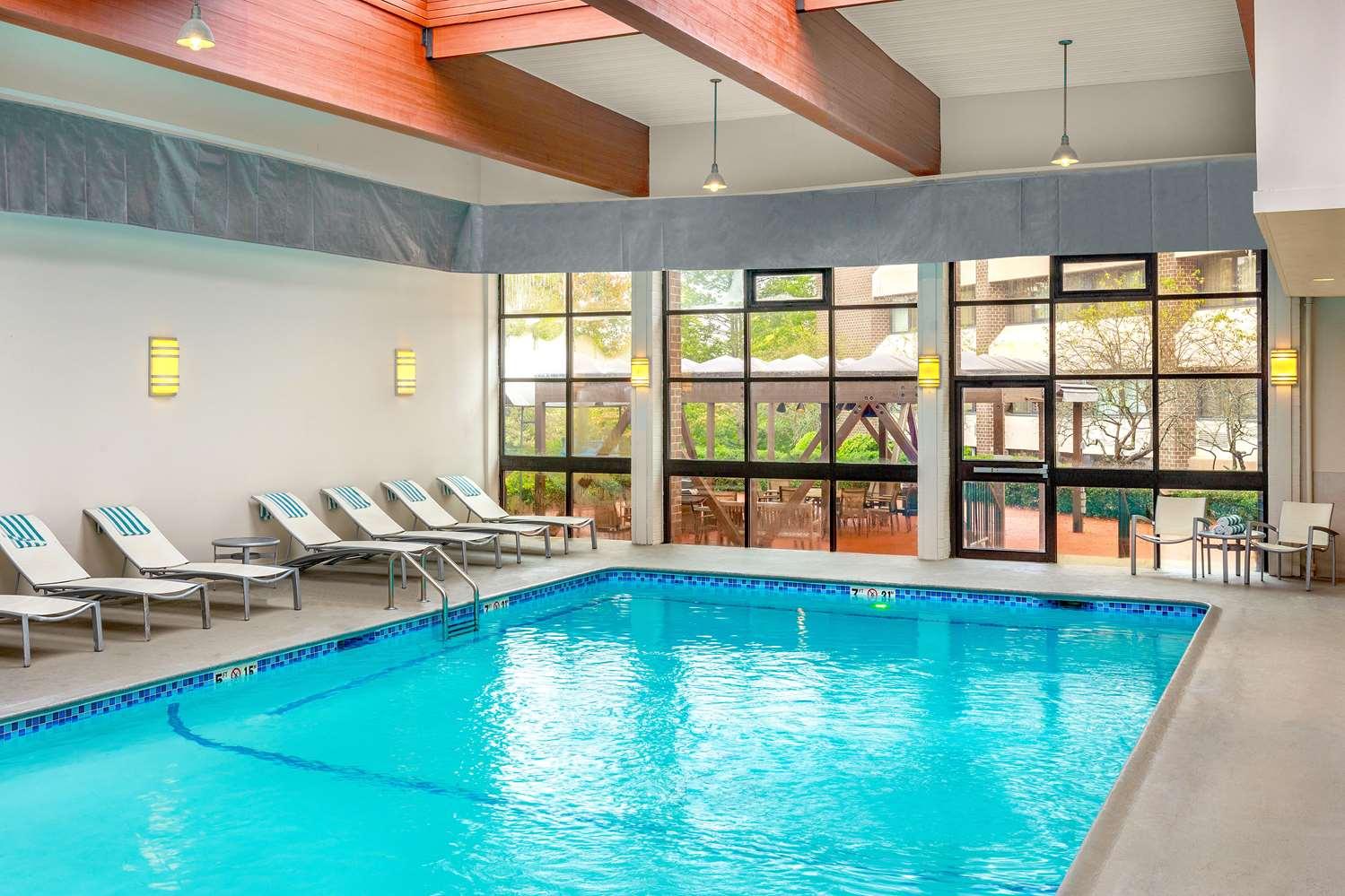 swimming pool spa