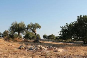 surroundings