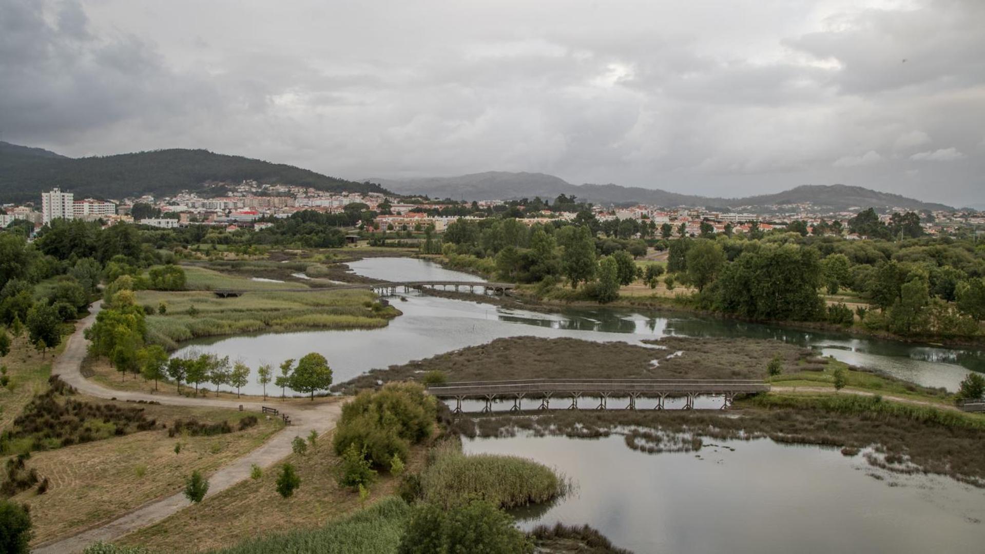 surroundings