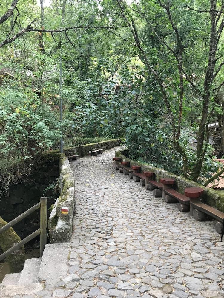 surroundings