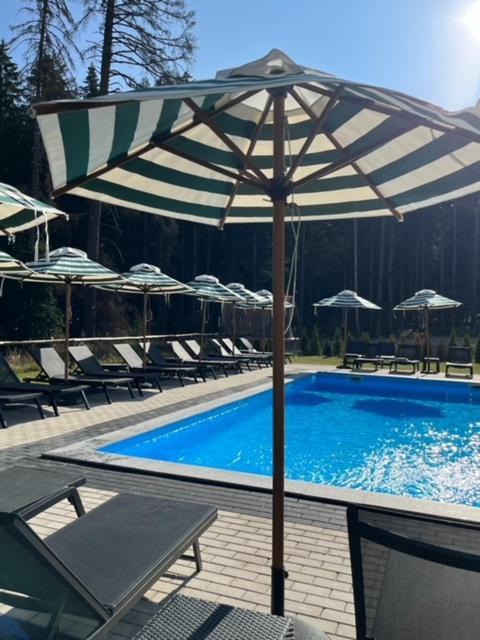 swimming pool spa