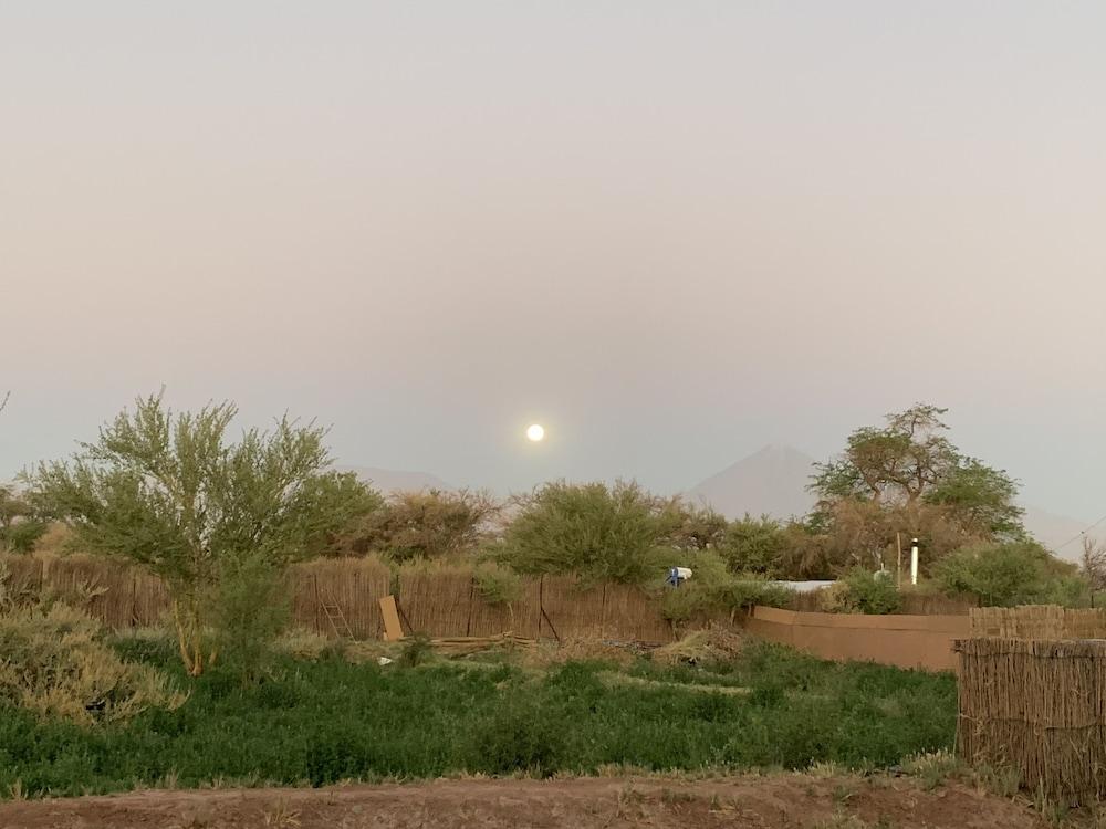 surroundings