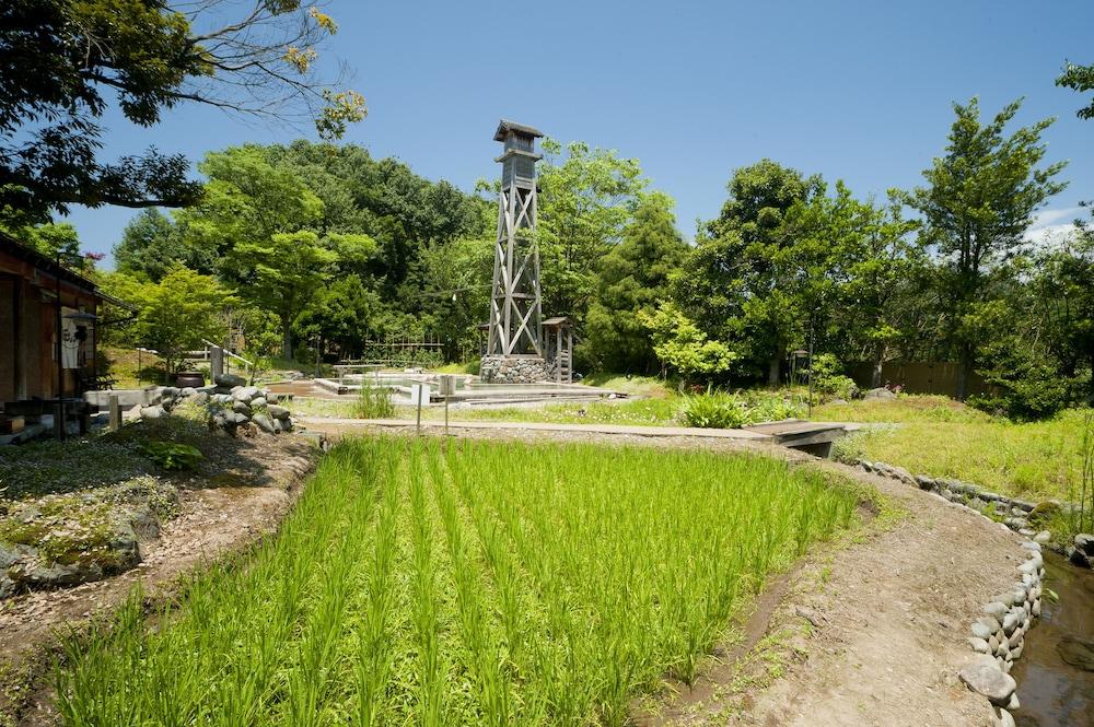 surroundings
