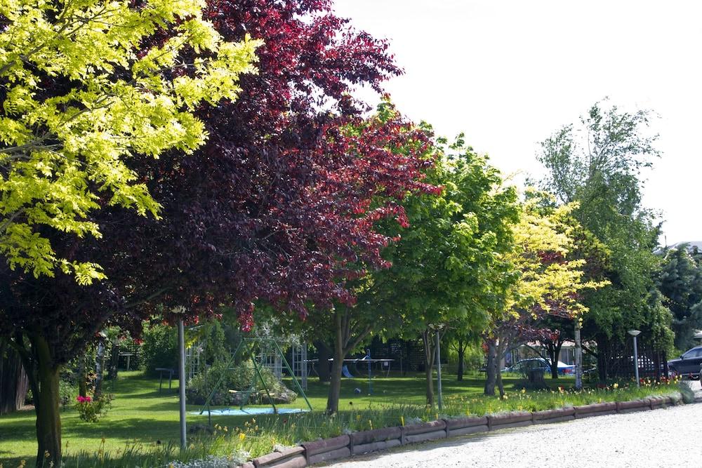 surroundings