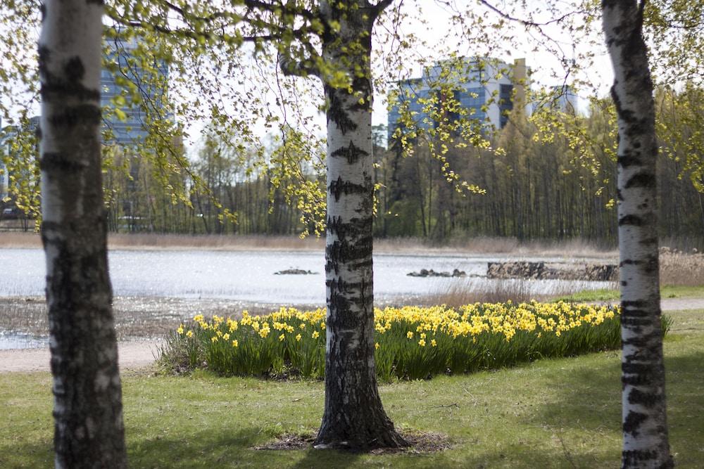 surroundings