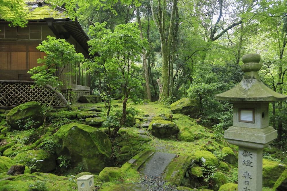 surroundings