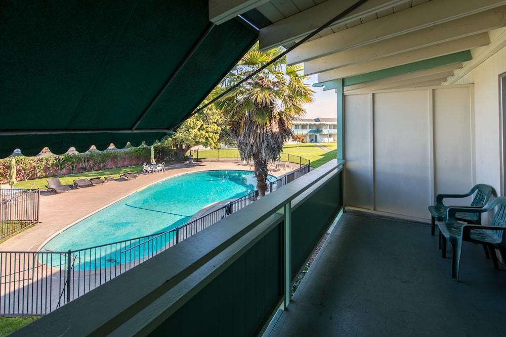 swimming pool spa