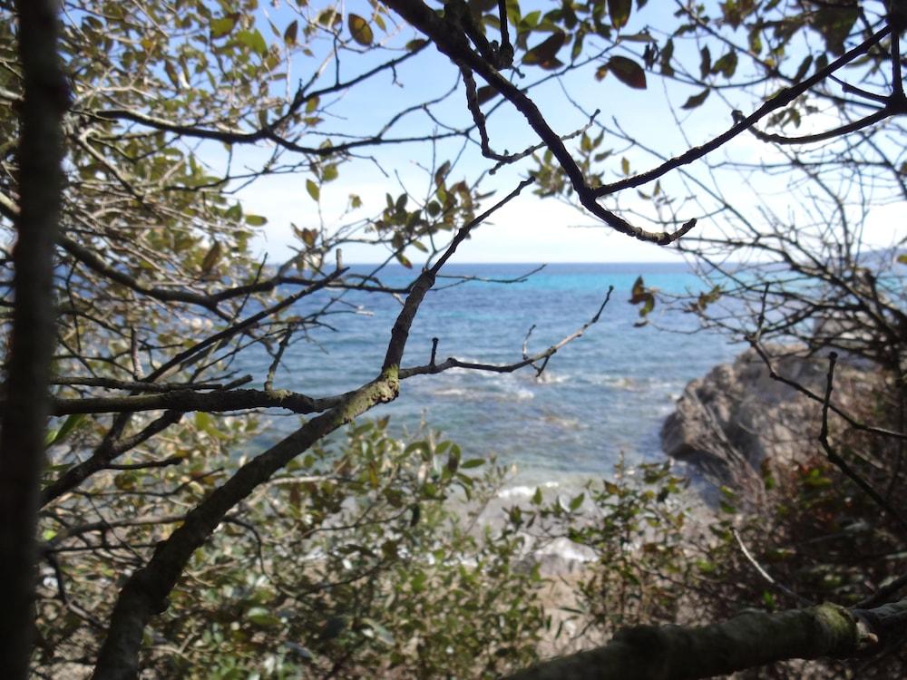 surroundings