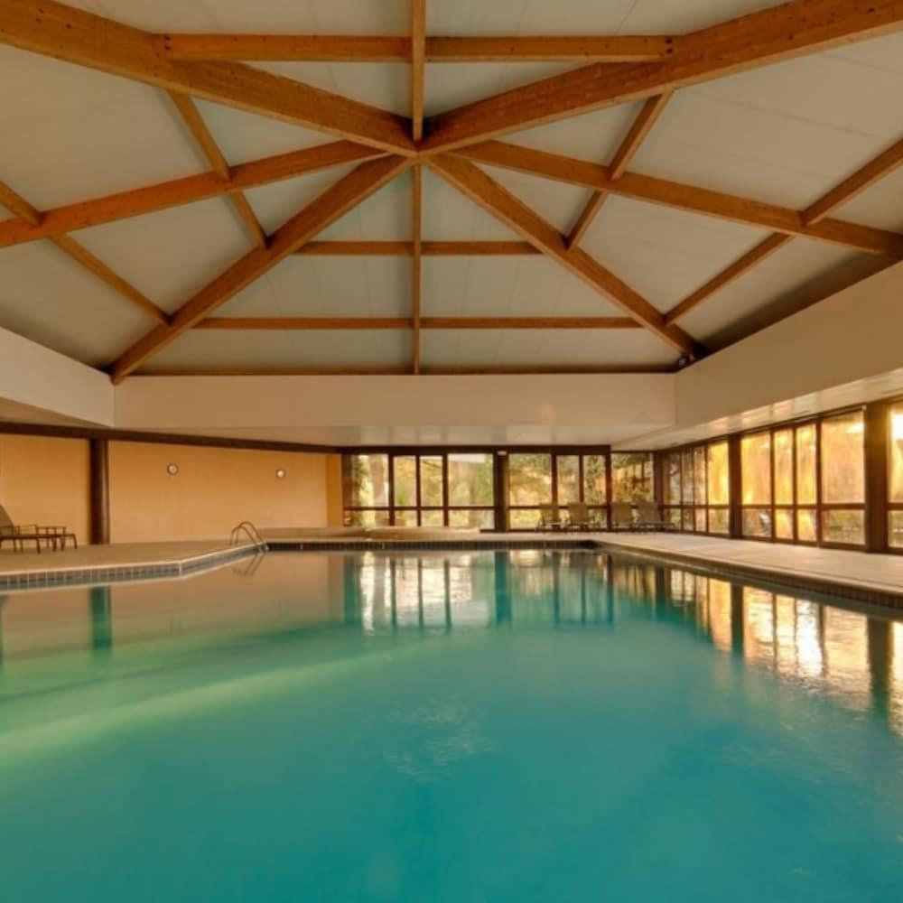 swimming pool spa