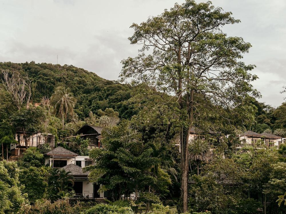 surroundings
