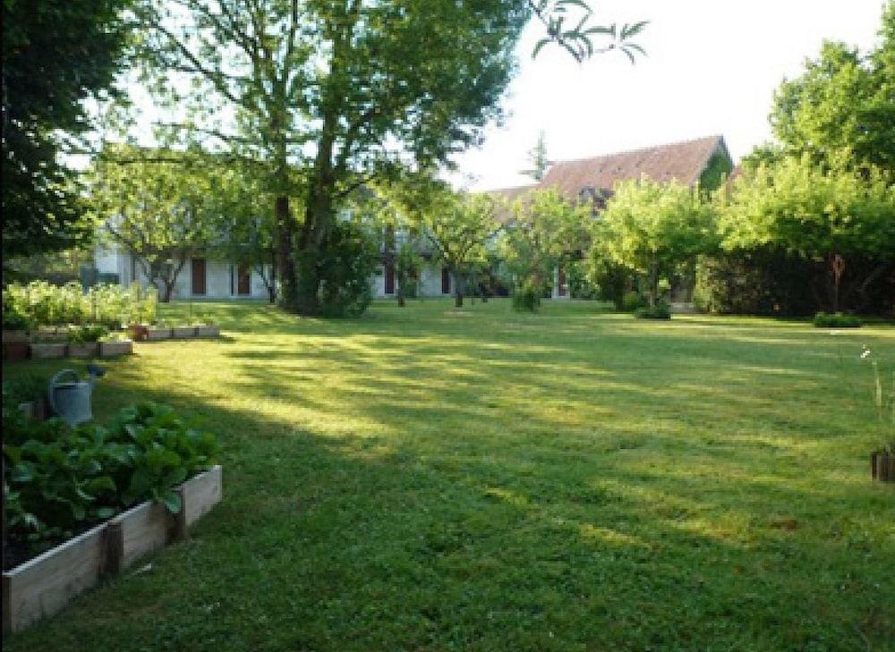surroundings