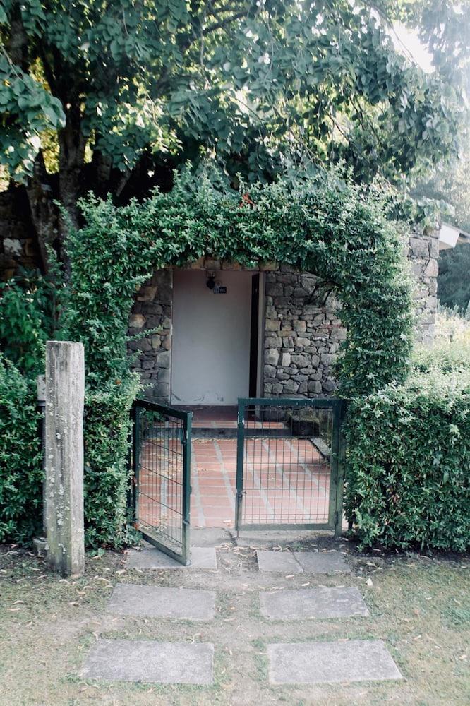 surroundings