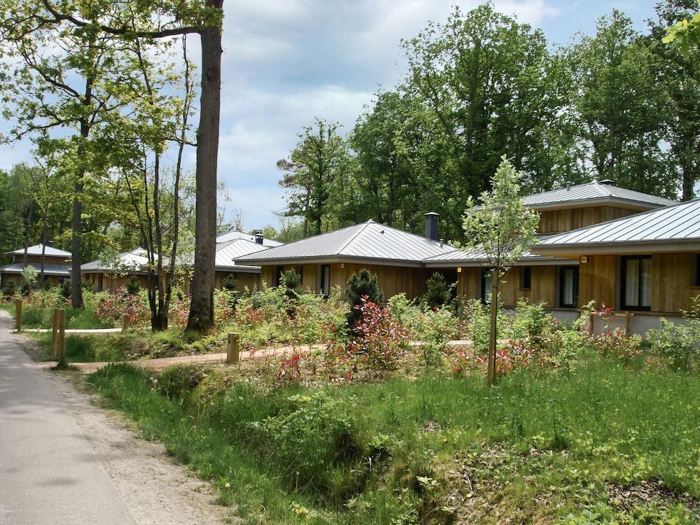 surroundings