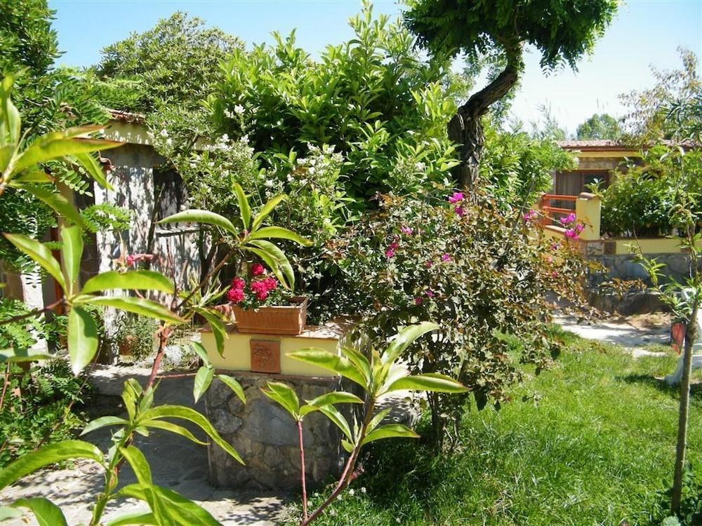 surroundings