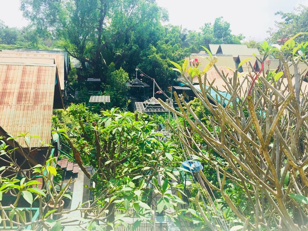 surroundings