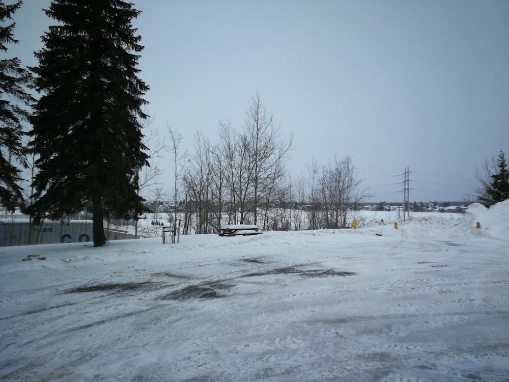surroundings