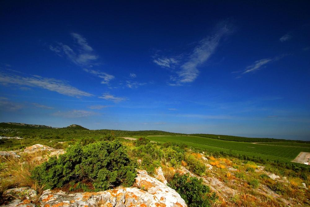 surroundings