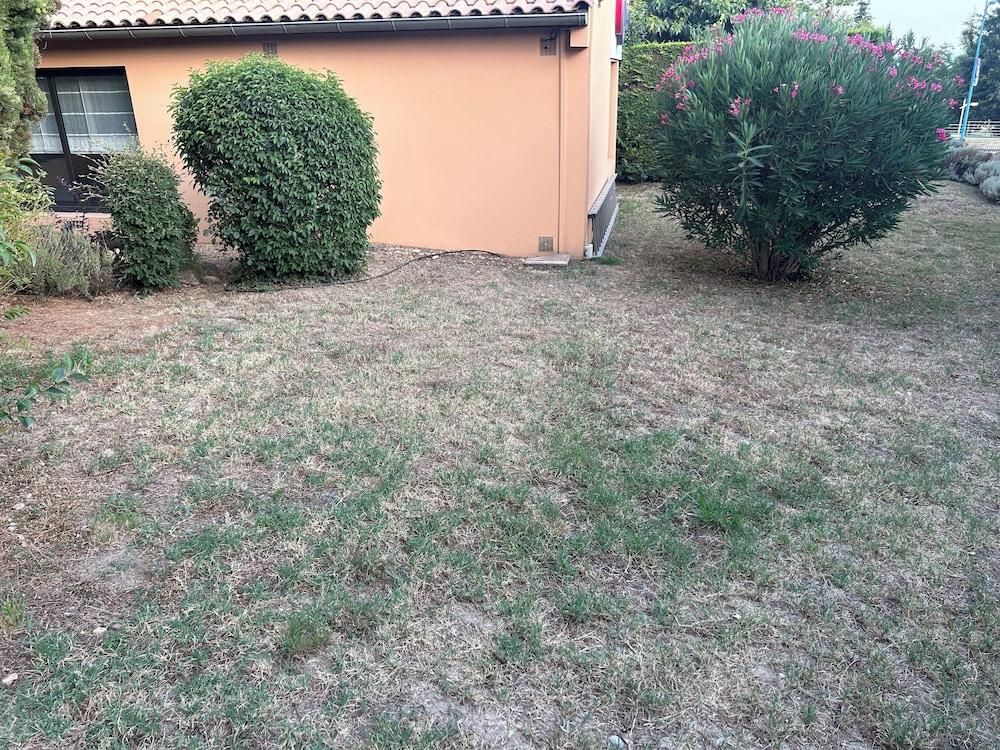 surroundings