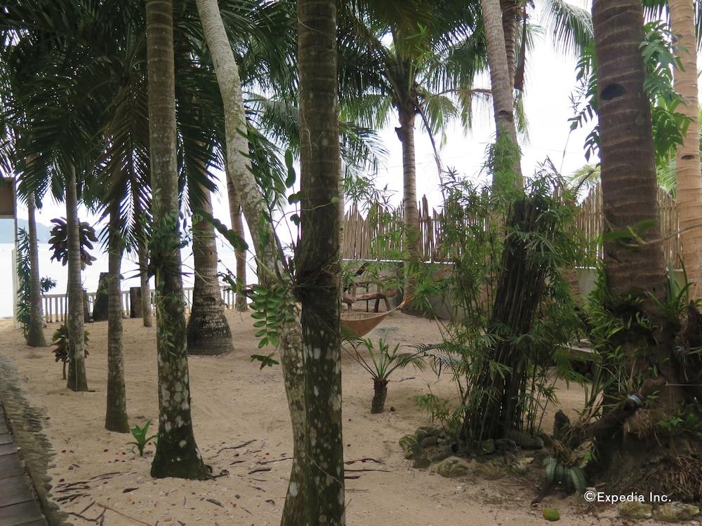 surroundings