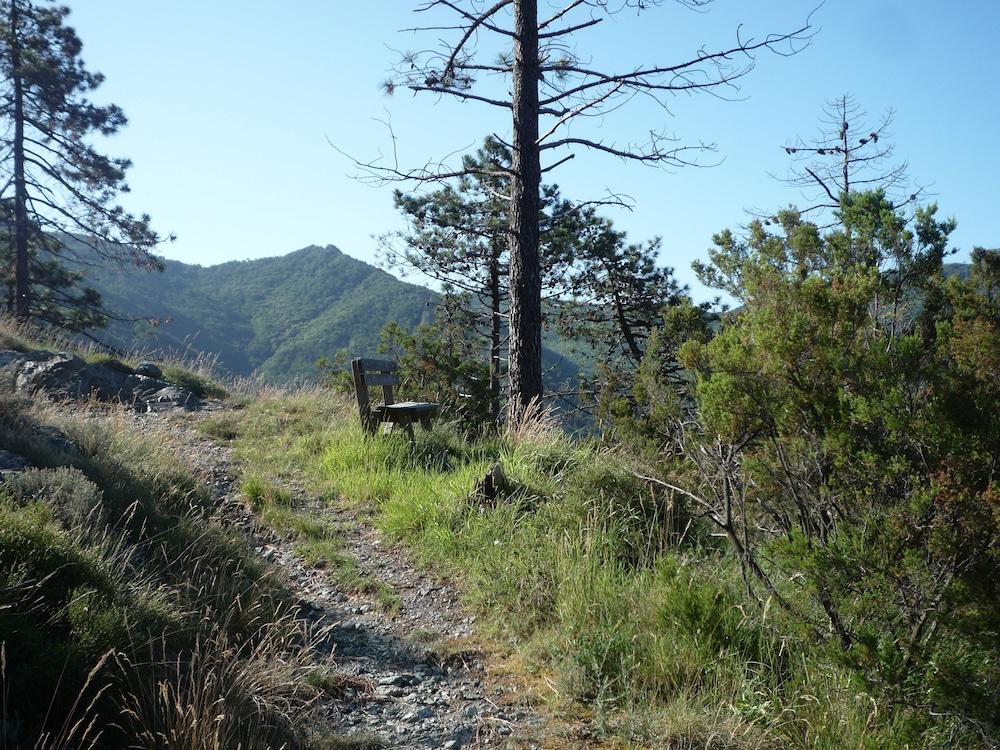 surroundings