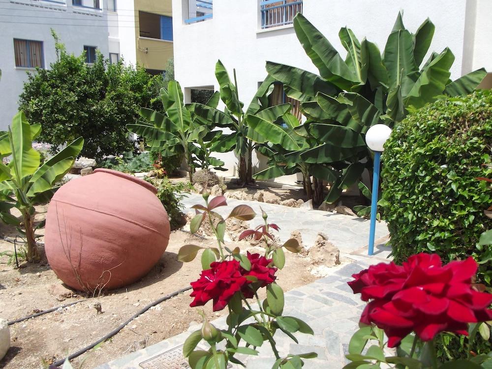 surroundings