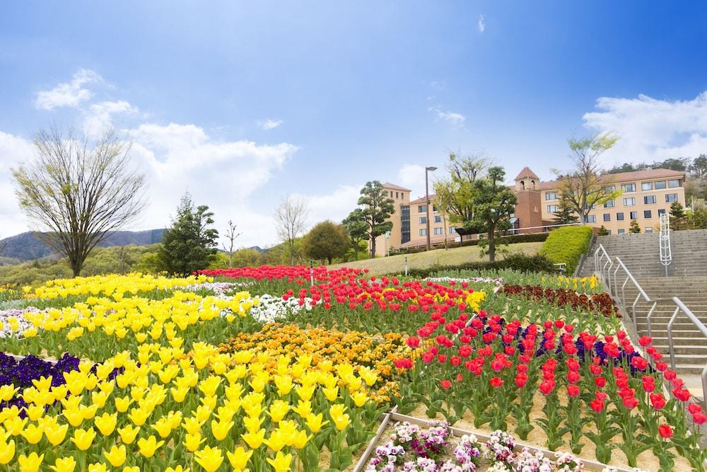 surroundings