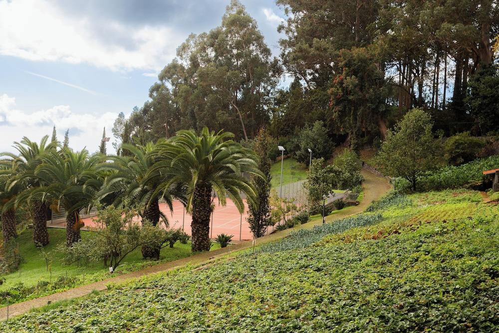 surroundings