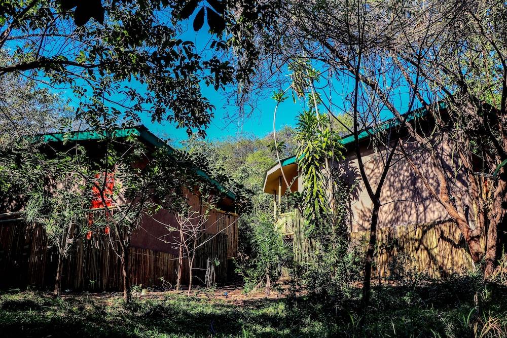 surroundings