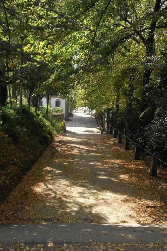 surroundings