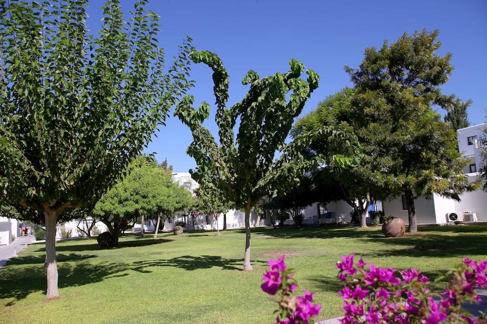 surroundings