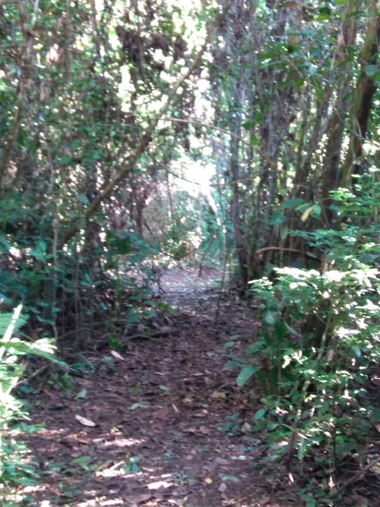 surroundings