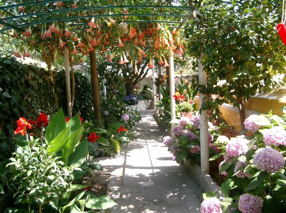 surroundings