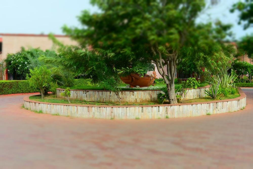surroundings
