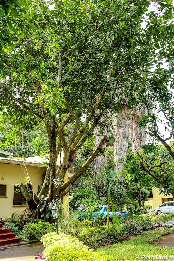 surroundings