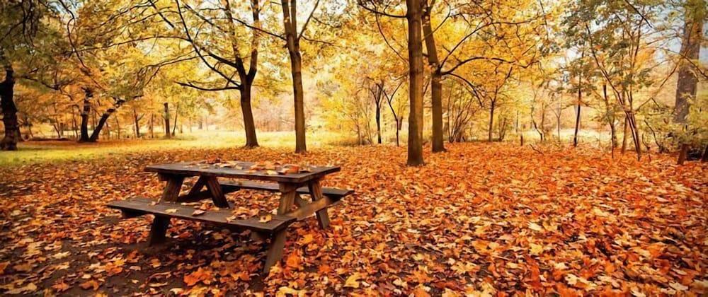 surroundings