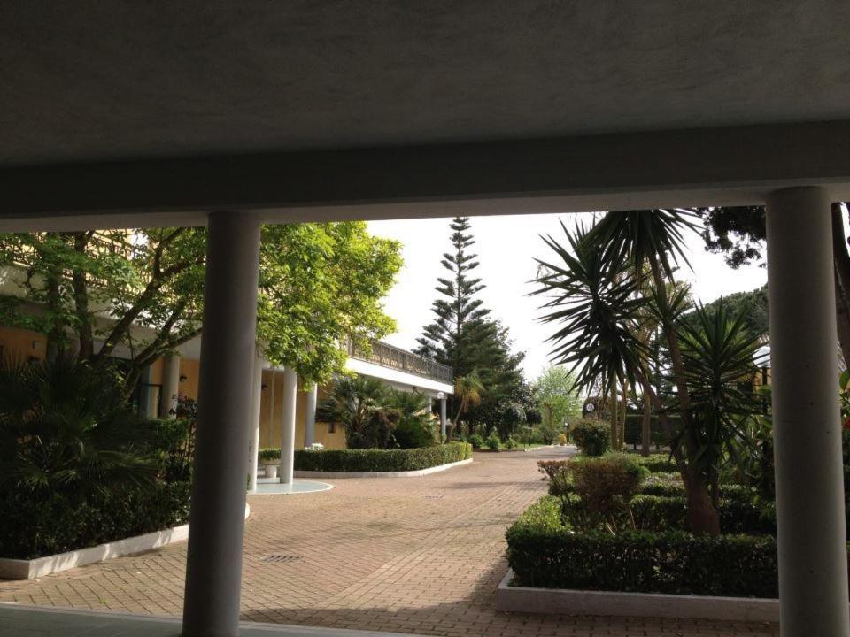 surroundings
