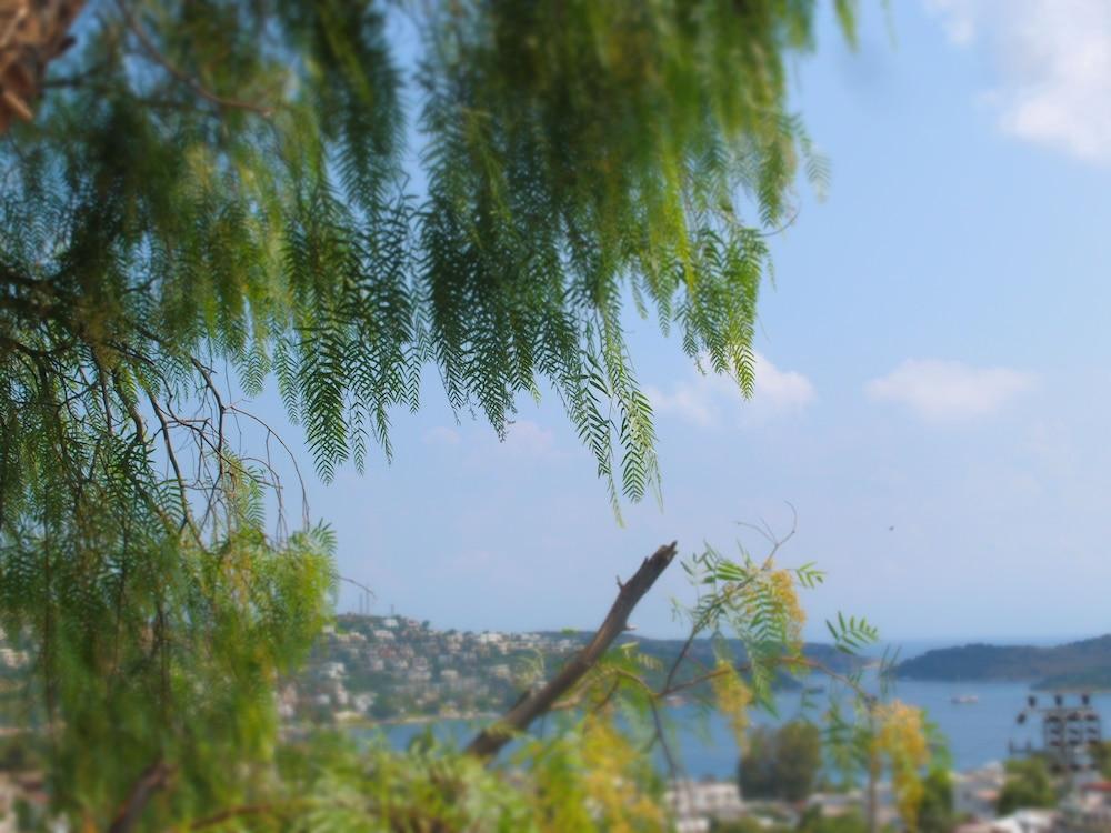 surroundings