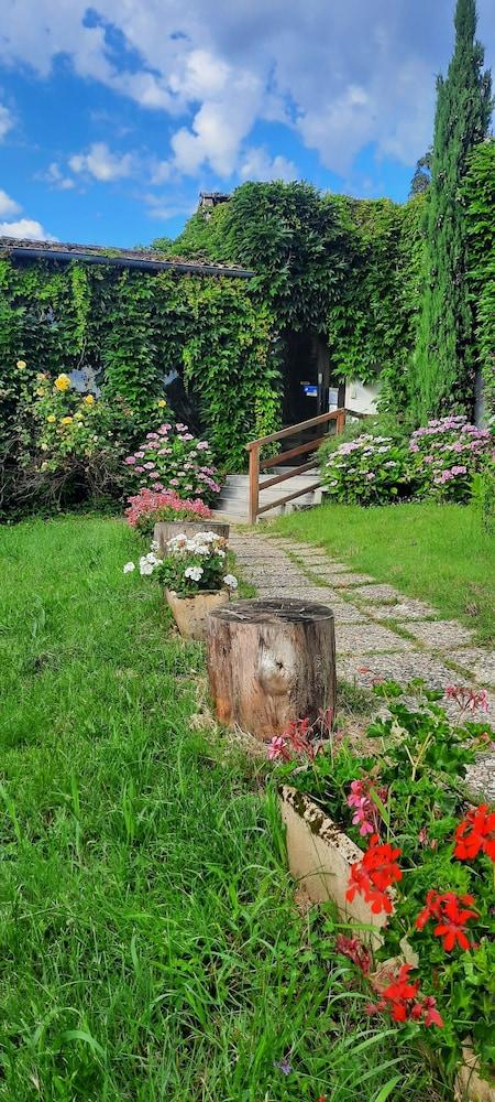 surroundings
