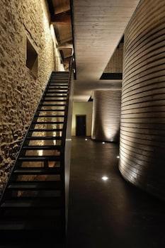swimming pool spa