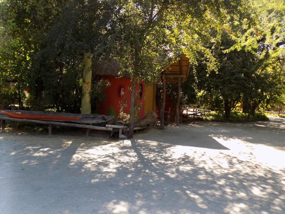 surroundings