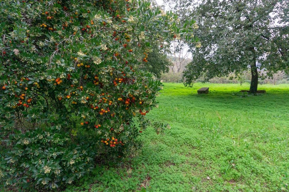 surroundings