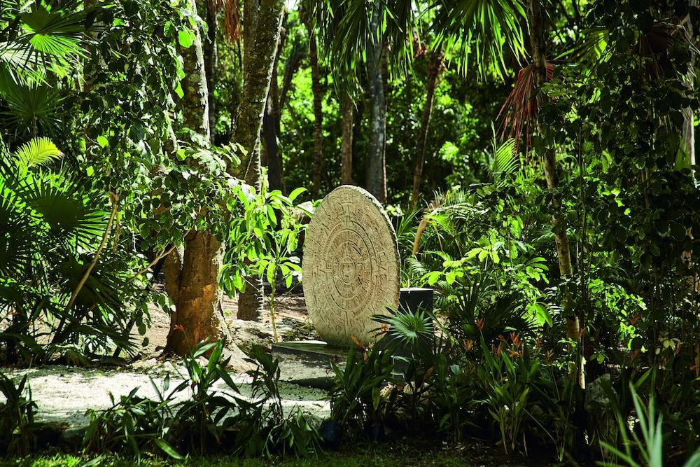 surroundings