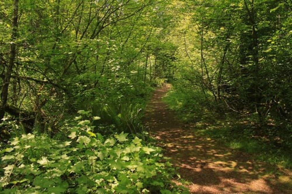surroundings