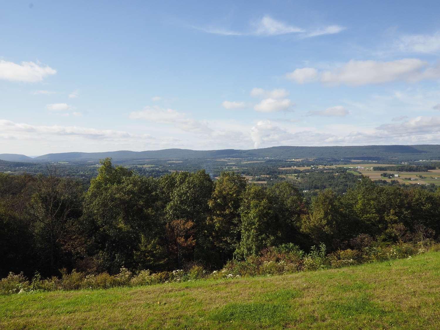 surroundings