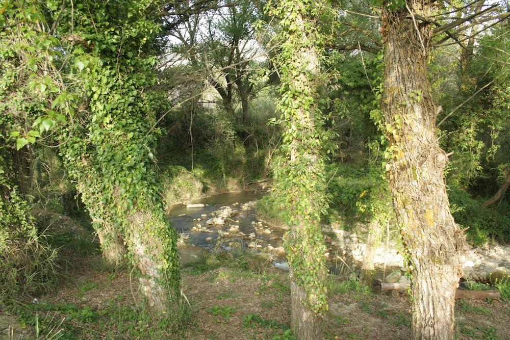 surroundings
