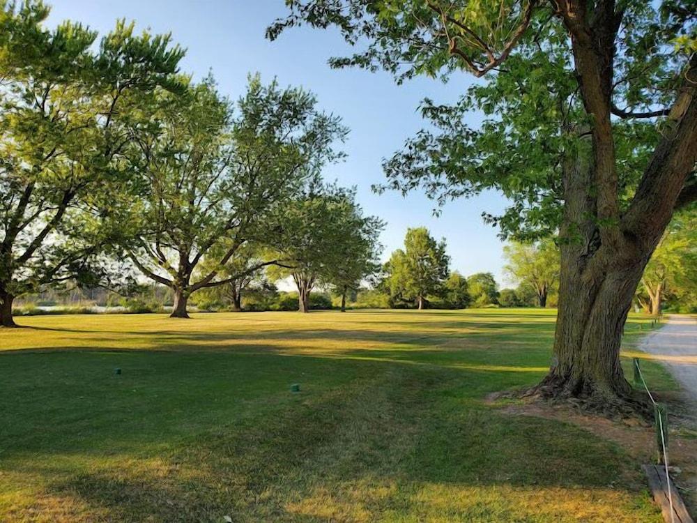 surroundings