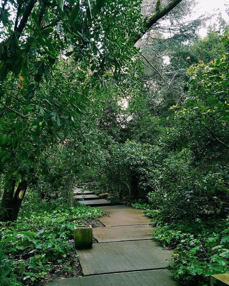 surroundings